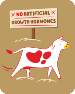 Illustration of a cow with a sign "no artificial growth hormones"