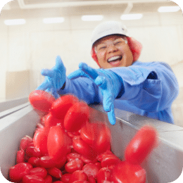 Smiling Babybel® worker wearing gloves and protective gear tossing Babybel snack cheeses onto a production line